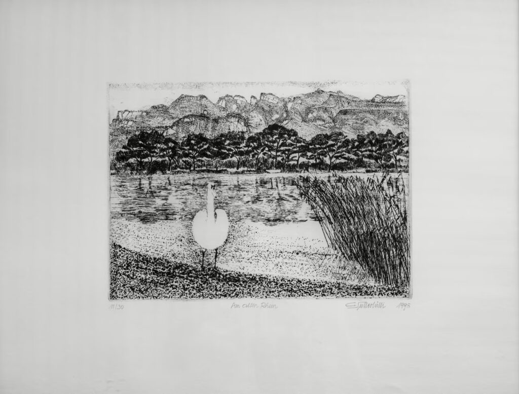 Am Alten Rhein, 1998