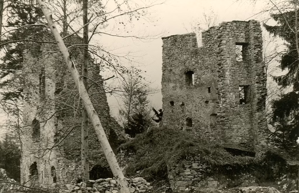Burgruine Alt-Ems, Historische Ansicht